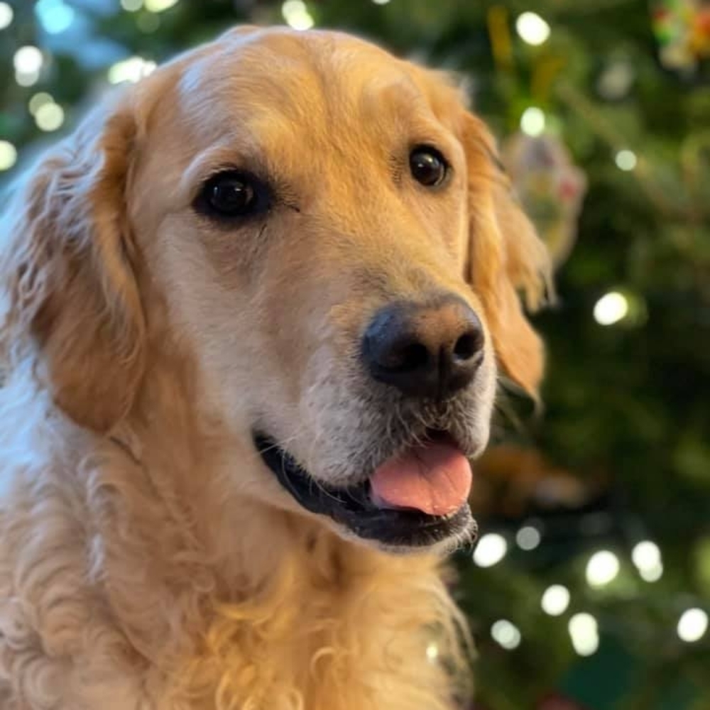 Meet your Posher, Jim